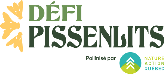 Défi Pissenlits