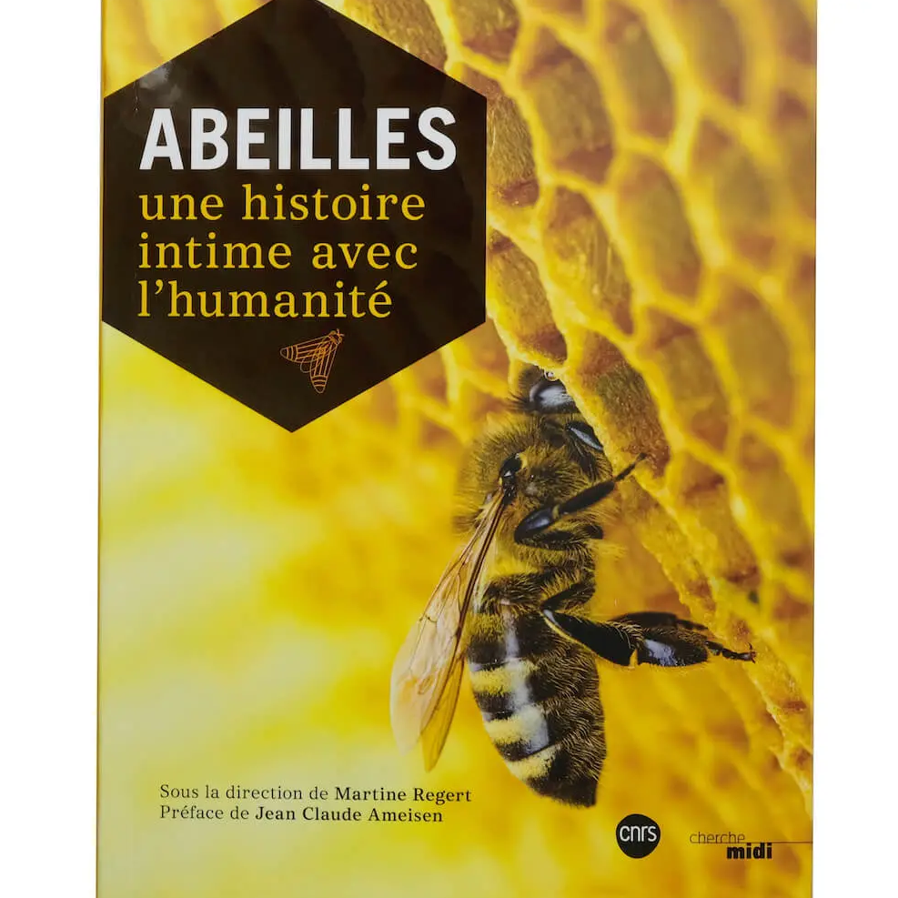 Abeilles : une histoire intime avec l’humanité