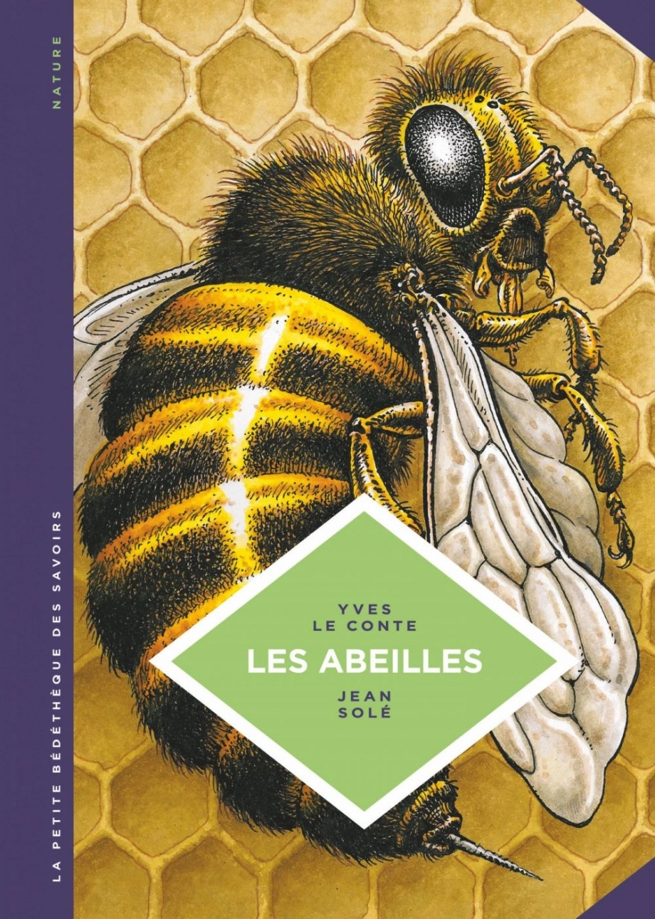 Les abeilles : les connaître pour mieux les protéger